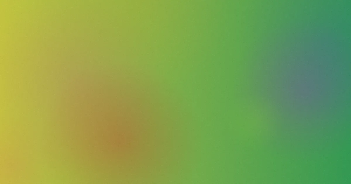插插网站攻略：逐步对比选择